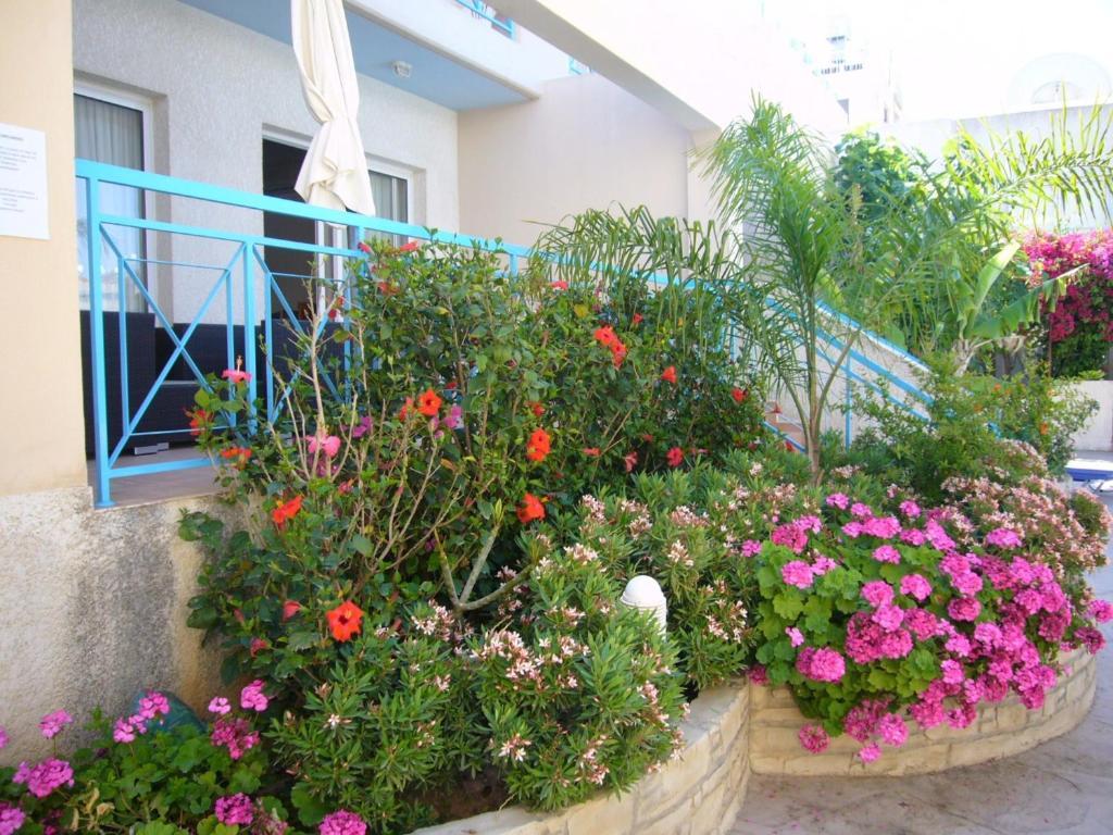 Blue Oasis Gardens Apartment Limassol Exterior photo