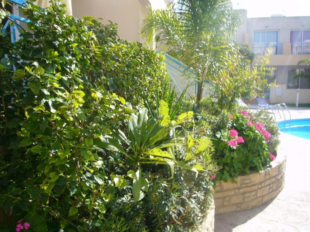 Blue Oasis Gardens Apartment Limassol Exterior photo